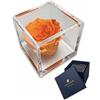 Passionefiori.it S 1086 Luxury Rose Stabilizzate Vere in Cubo più Spesso Luxury 8cm e Scatola Regalo Lusso, Cubo Rosa stabilizzata Arancione, Rosa eterna