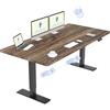 FLEXISPOT Scrivania Regolabile in Altezza 160x70 cm Con 2 Motori Potenti, Tavolo Stabile Con Funzione di Memoria (Nero+Marrone)