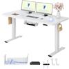 FLEXISPOT Scrivania Regolabile in Altezza a 2 Motori 160x80 cm con Piano Unico, Pannello con Memoria, Portata 100 kg