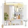 Hzuaneri Specchio Bagno Contenitore, Mobiletto a specchios con illuminazione a LED, porta asciugacapelli e ganci, mobile specchio bagno, con Ripiano Regolabile, 16,5 x 60 x 68,5 cm, Bianco MC10003XEU