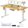 FLEXISPOT Scrivania Regolabile in Altezza a 2 Motori 160x80 cm con Piano Unico, Pannello con Memoria, Portata 100 kg