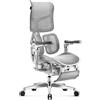 DIABLO Brave V-Kinetic Sedia da ufficio Poltrona da Scrivania Ergonomica con Poggiapiedi Braccioli 5D Rete Supporto lombare Sedile regolabile Portata fino a 120 kg Grigio