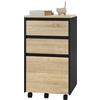 WOLTU Cassettiera da Ufficio, Cassettiera Portadocumenti a 3 Cassetti | Con Ruote per Studio, Camera da Letto, in Legno, Rovere Chiaro e Nero, 40x40x70 cm