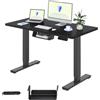 FLEXISPOT Scrivania Regolabile In Altezza Elettrica 100x60cm, Scrivania Regolabile In Altezza A 2 Livelli Con Gancio E Promemoria Seduta-Stand (Nero)