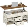 Hzuaneri Tavolino da Caffè con Piano Rialzabile, Tavolino da Salotto, con 2 Cassetti Portaoggetti, 4 Scomparti, 50 x 100 x 45-61,3 cm, Bianco-Marrone CT22114B