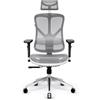 DIABLO V-Basic Sedia da ufficio Ergonomica Sedia Girevole con Supporto Lombare Integrato Braccioli 3D Poggiatesta Regolabile Funzione Dondolo Altezza Regolabile (Bianco-Grigio)