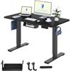 FLEXISPOT Scrivania Regolabile In Altezza Elettrica 120x60cm, Scrivania Regolabile In Altezza A 2 Livelli Con Gancio E Promemoria Seduta-Stand (Nero)