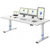 FLEXISPOT Scrivania Regolabile in Altezza 200x80 cm Con 2 Motori Potenti, Tavolo Stabile Con Funzione di Memoria (Bianco+Bianco)