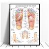 BINGJIACAI Riflessologia Plantare Schema dei Punti di agopuntura Anatomia Poster Wall Art Picture Canvas Painting Print Office Home Decor-50x70cm Senza Cornice