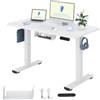 FLEXISPOT Scrivania Regolabile In Altezza Elettrica 120x60cm, Scrivania Regolabile In Altezza A 2 Livelli Con Gancio E Promemoria Seduta-Stand (Bianco)