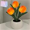 Generisch Lampada a tulipani a LED, lampada da tavolo a tulipani, fiori artificiali, in ceramica e poliuretano, regalo romantico per camera da letto, soggiorno, matrimonio, ecc. (arancione, USB)