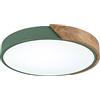 Generic Lampada a Sospensione a LED Rotonda Moderna in Legno, Lampada da soffitto a Filo, Illuminazione per Soggiorno, Camera da Letto, corridoio, Verde + dimmerazione Continua - 30 cm 18