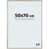 yd. Your Decoration - Cornice portafoto 50 x 70 cm, in plastica con vetro acrilico, antiriflesso, cornice 50 x 70 cm, colore: Champagne