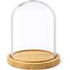 PALUPLUS Campana in Vetro con Base in Legno, Teca in Vetro Trasparente, Espositore per oggetti, composizioni floreali e luci, oggetto decorativo per la tua casa -946M -1,1 (14x21 cm)
