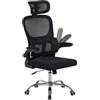 IlGruppone Sedia da Ufficio Professionale Ergonomica Rete Traspirante Supporto Lombare Adattivo Poltrona Direzionale Poggiatesta Regolabile Braccioli Ribaltabili Fino 150 kg - Nero