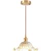 iDEGU Lampada a Sospensione in Vetro, 25CM Lampadario a Sospensione Vintage E27 Plafoniera Retrò Paralume Vetro Creativo Lampada da Soffitto per Soggiorno Cameretta Cucina Sala da Pranzo (Trasparente)