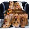 Chickwin Chickw11 Coperta di Flanella, 3D Animale Stampa Morbida Leggera Pile Coperte Calda Coperta Tutte Le Stagioni Multifunzionale per Divano o Letto Singolo e Matrimoniale (Golden Retriever,100x150cm)