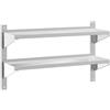 vidaXL Wandschap 2-laags 100x30x60 cm roestvrijstaal zilverkleurig
