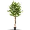 tectake® Albero di Ficus Artificiale, Foglie Realistiche, Vaso in Plastica, Decorazione per Soggiorno, Ufficio e Interni, Facile da Pulire, Arredamento - 180 cm