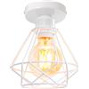 iDEGU Lampadario da Soffitto Industriale 16cm Plafoniera Vintage in Metallo Gabbia Paralume E27 Illuminazione Retro Lampada da Soffitto per Corridoio Ingresso Cucina Camera da Letto (Bianco)