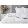 IlGruppone Piumino Letto Estivo Primaverile in Morbida Mircrofibra 100 Gr Bianco Coperta LeggeraTrapunta Sottile Anallergico Piumone - Bianco - Piazza e mezza