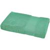 Bassetti Pop Color Nuovo Telo Doccia Bagno, Asciugamano Viso, ospite in Spugna da 430 g/m², Giada, cm. 100x150