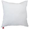 POWER INN Cuscino interno in cotone, inserto per cuscino lavabile come cuscino decorativo, cuscino per divano e guanciale, imbottito con imbottitura in cotone Oeko Tex 100 (45 x 45 cm)