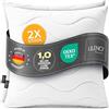Lileno Home Imbottitura per cuscino, 50 x 50 cm, set da 2 pezzi, cuscino interno trapuntato, per chi soffre di allergie, in microfibra, come cuscino decorativo e cuscino da divano, lavabile a 40 °C