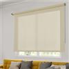 STOR PLANET | Tende Transparenti SOFT, Tenda a rullo per Interni, Tende per Cucina, Soggiorno, Camera da letto. Tende per Finestra e Porta, Installazione Facile | Beige, 160x250cm