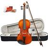 ffalstaff V01 Violino Laminato Finitura Lucida 4/4 - Completo di Archetto, Custodia con Manico e Spallacci, Blocchetto di Colofonia e Colofonia D'addario di ricambio