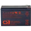 WSB AGM Batteria al piombo 12 V 9,3 Ah UPS12460 F2F1 estremamente corrente AGM, compatibile con MP1236H, NPW45-12, HR1234WF2, UP-RW1245P1, WP1236W