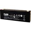 FIAMM FG20201 2Ah 12V batteria UPS
