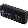 Generico LEOCH LP6-5.0 DJW6-5.0 6V 5.0 AH LP SERIE BATTERIA AGM PIOMBO ACIDO