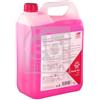 FEBI BILSTEIN 172006 Antigelo 5L Rosso