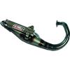 GIANNELLI MARMITTA SCOOTER REVERSEPEUGEOT JET FORCE 50'09 C-TECH (VERS.CARBURATORE) SILENZIATORE KEVLAR