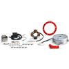 BRIXIAMOTO MALOSSI 5517192 Accensione Malossi Power per Ciclomotori, Compatibile con Piaggio