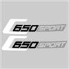 NXGHARTG Adesivi Moto Decalcomanie In Vinile Per Bmw C650 Sport C 650 2015 2016 2017 2018 2019 2020 2021 Parti Di Protezione Decorazione