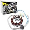 Area1 Alternatore Stator 12 poli compatibile con Spatz 50 automatico, compatibile con Zest, Axis, Jog, BWs, Aerox, Breeze, Neos, Why 50ccm (dal 2003)