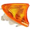 Generico FANALINO FRECCIA ARANCIONE DX COMPATIBILE CON IVECO STRALIS HI WAY TRAKKER EUROCARGO 42555041
