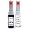 SD COLORS OCEAN Blue PPSB compatibile con TSLA New Touch Up Paint Pen Kit di riparazione 20 ML GRAFFIO SPAZZOLA COLORE CODE PPSB OCCEANO BLU (verniciatura+LACQUER)