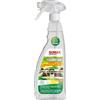 SONAX 750 ml CleanStar Ecocert 02534000 | Detergente universale per auto, casa e officina, senza aloni, delicato sui materiali, neutralizza gli odori.