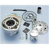 POLINI Pln1331008 - kit motore cilindo polini minarelli am6 h2o d 50 aluminio