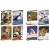 Blasetti Attrezzatura scolastica marca BLASETTI modello CF10 QUADERNO ANIMALI 100G A4 0A
