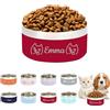 Brocade Creek Ciotole Personalizzate per Animali Domestici, Ciotole con Nome Inciso per Cani e Gatti, Ciotola Antiscivolo in Acciaio Inossidabile per Cani, Regali Personalizzabili per Animali Domestici - Rosso