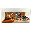 ANTHILLSHOP Formicaio di Sabbia Naturale Acrilico 1 - con Formiche Incluse 20-30 Formiche.