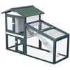 PawHut Gabbia per Conigli Animali in Lengo di Abete Doppia Porta 140 x 65 x 100cm Verde e Bianco