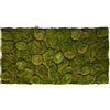 REPITERRA Terrario parete posteriore decorazione sfondo 3D muschio aspetto naturale 116x58 cm per terrari 120x60 cm