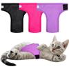 Paw Legend Pannolini per Gatti per Gatte che Spruzzano Lavabili Riutilizzabili Pannolini per Gattini per Incontinenza Felina Pannolini per Animali Domestici (Confezione da 3, Colorati, Piccoli)
