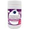 Ferramenta Barin Store - Candeggina In Pastiglie Effervescenti Formato 1Kg - 285 pastiglie AL Cloro Attivo da 3,50g (1)