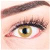GLAMLENS Lenti a contatto colorate marrone chiaro Lacey Brown Hazel - mensili - con porta lenti a contatto - marroni naturale in silicone idrogel - 2 pezzi - DIA 14.5 - senza correzione 0.00 diottrie